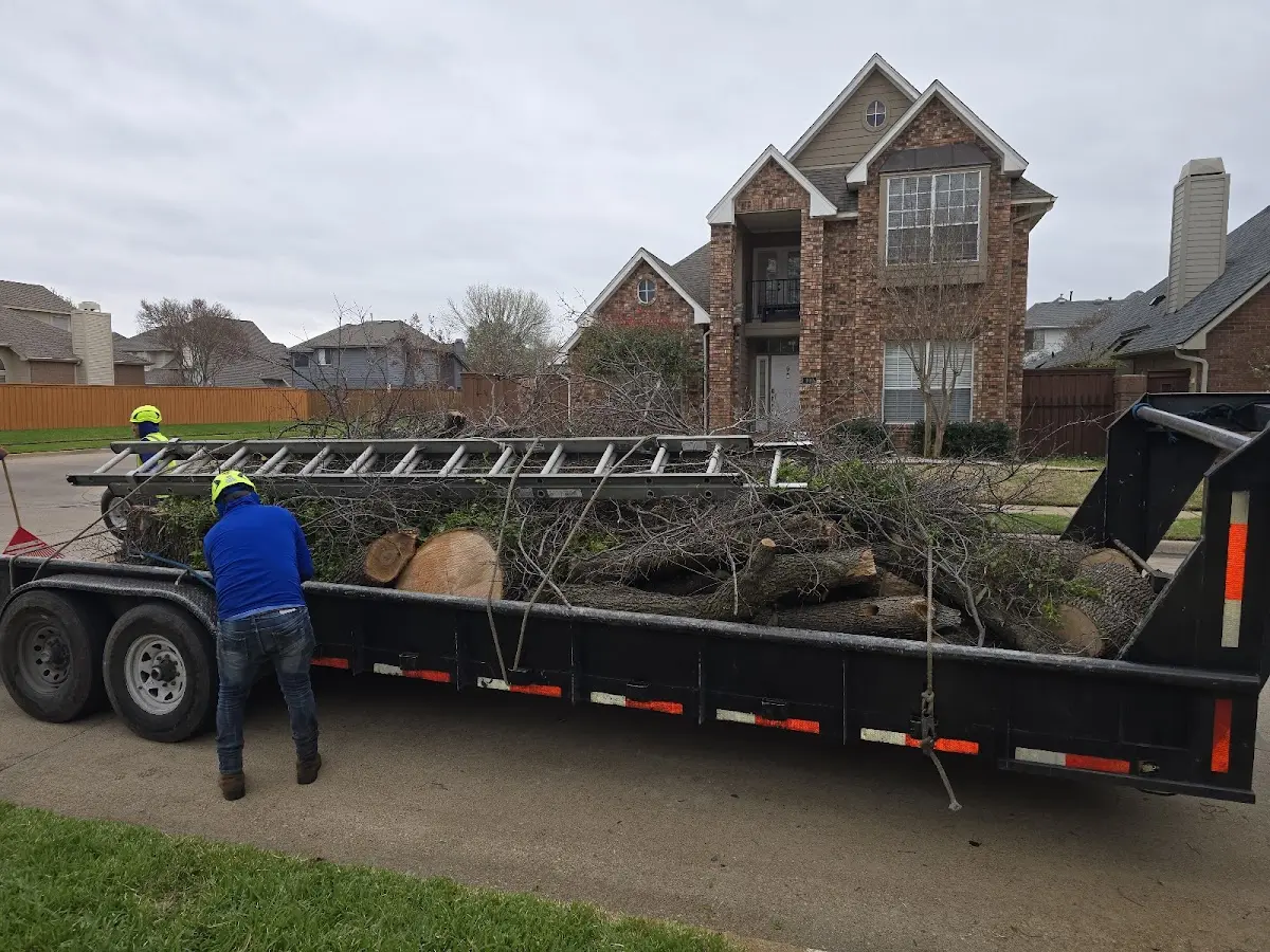 Expert Lot Clearing with proper safety equipment in Davis
